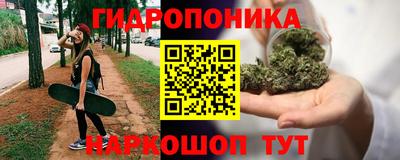амф Чебоксары