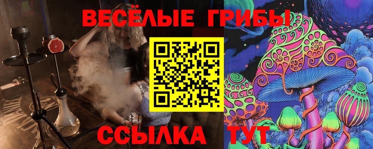 Галлюциногенные грибы Psilocybe Канск