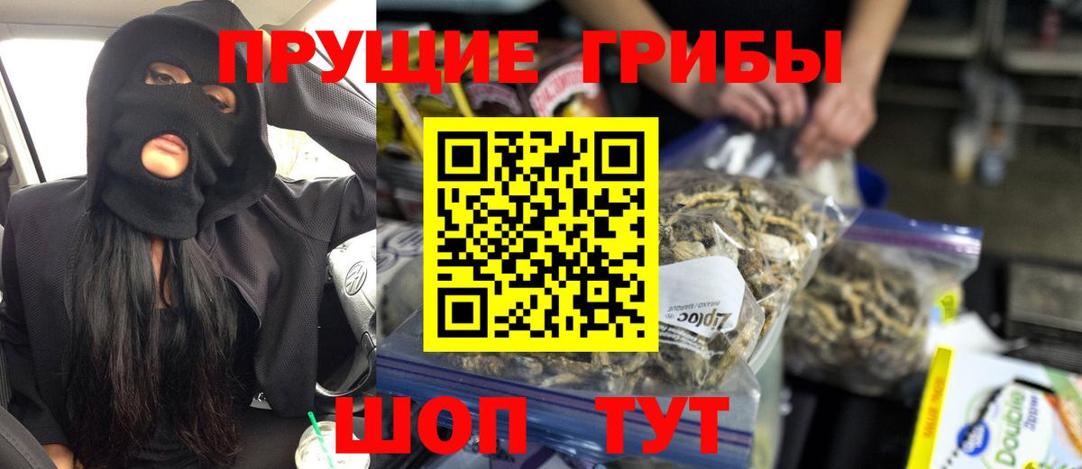 Канск  Галлюциногенные грибы Psilocybine cubensis  Галлюциногенные грибы Psilocybine cubensis  Вход с VPN 